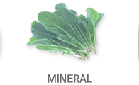 Mineral